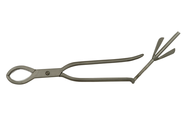 Hay Grooves Bone Holding Forcep