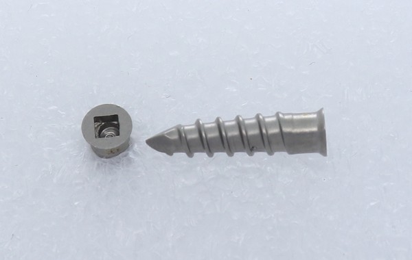 CERVICAL SCREW