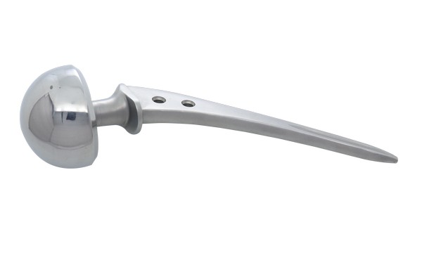 Bipolar Prosthesis - Fenestrated- Sterilized 		 